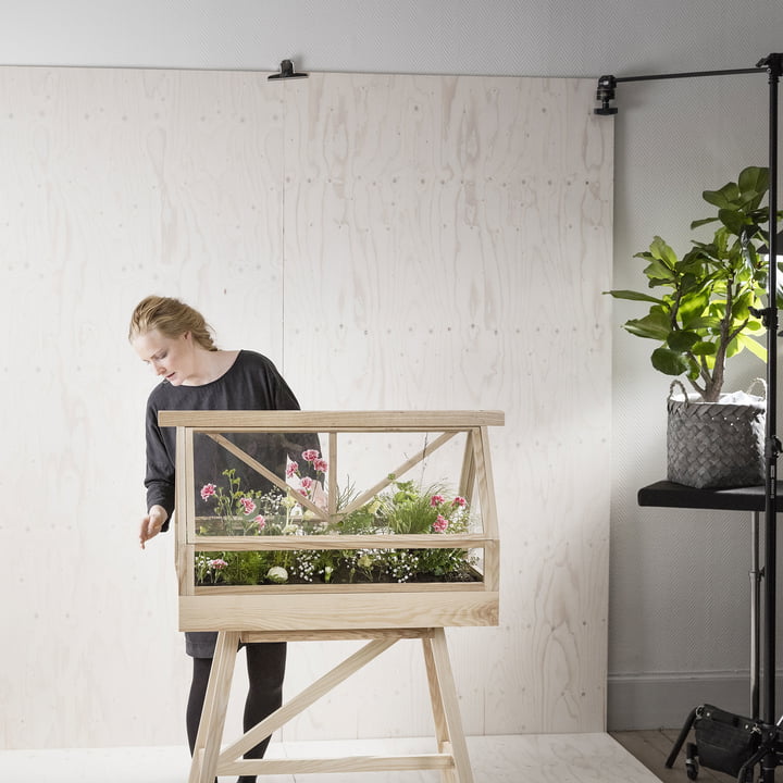 Le site Greenhouse Terrarium de Design House Stockholm