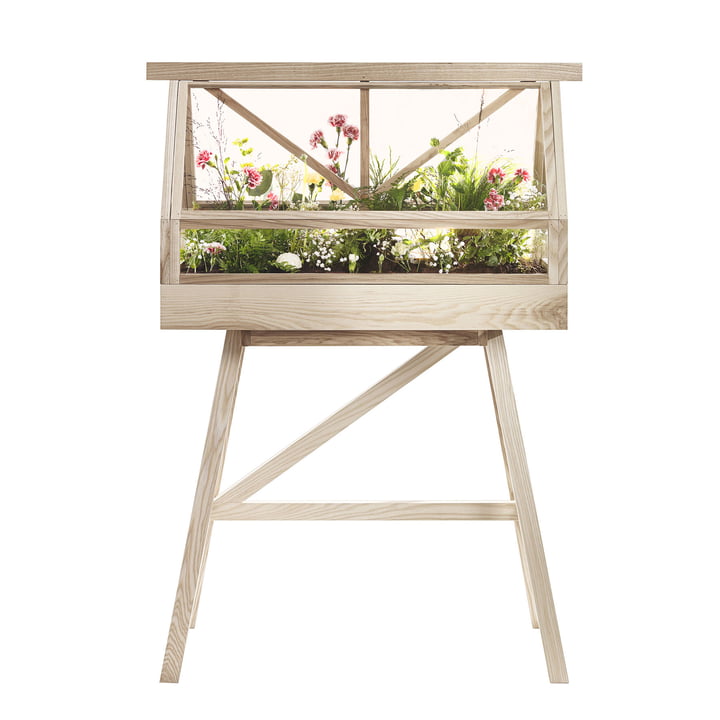 Le site Greenhouse Terrarium de Design House Stockholm