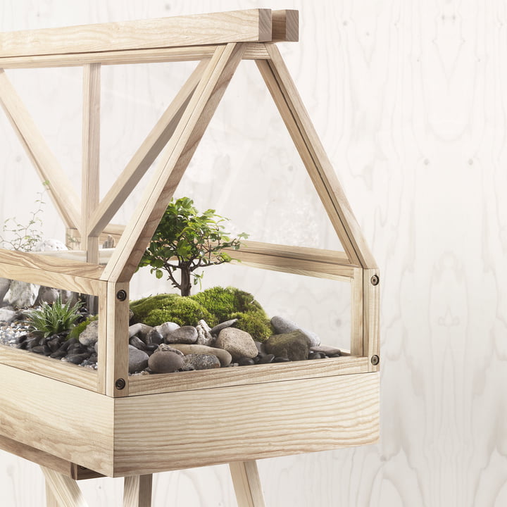 Le site Greenhouse Terrarium de Design House Stockholm