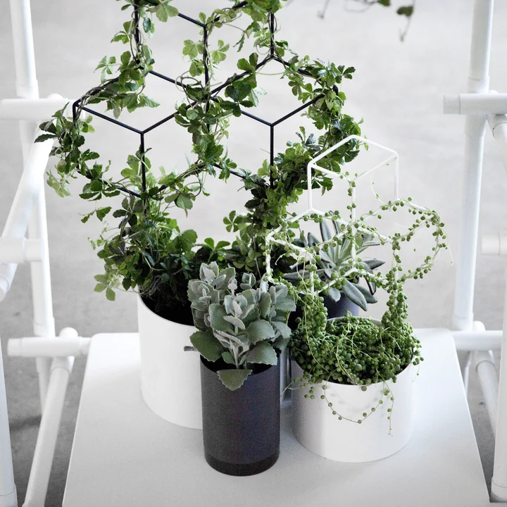 Audo - Pot de fleurs Cylindrical