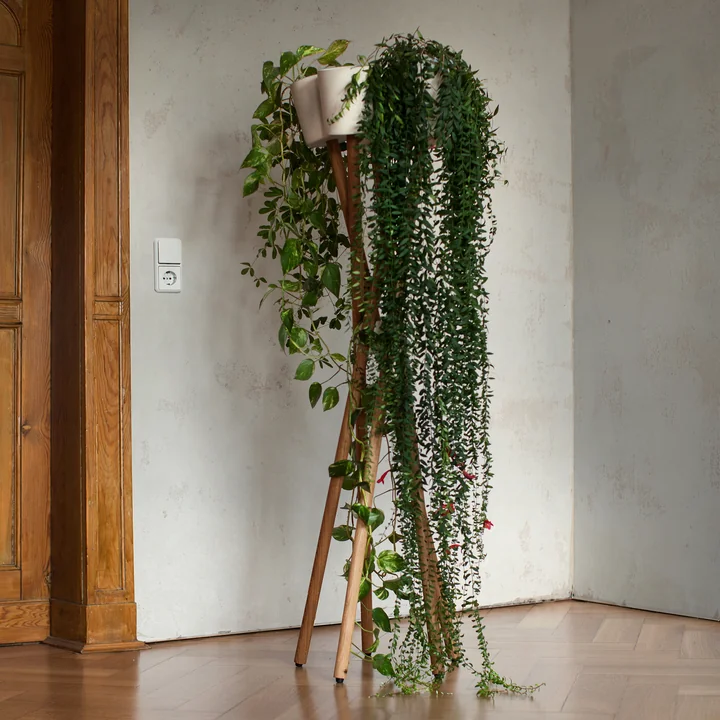 Le jardin haut de l'urbanité en chêne avec jardinière blanche