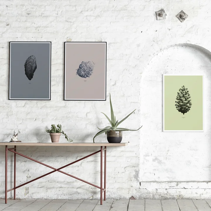 Paper Collective - 1:1 Oyster (gris foncé)/Nature 1:1 Pine Cone (vert clair)/1:1 Hailstone (marron)