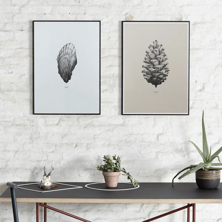 Poster Nature 1:1 par Paper Collective