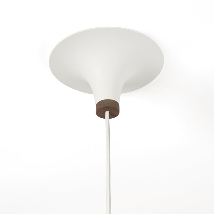 Acorn Suspension de northern lighting