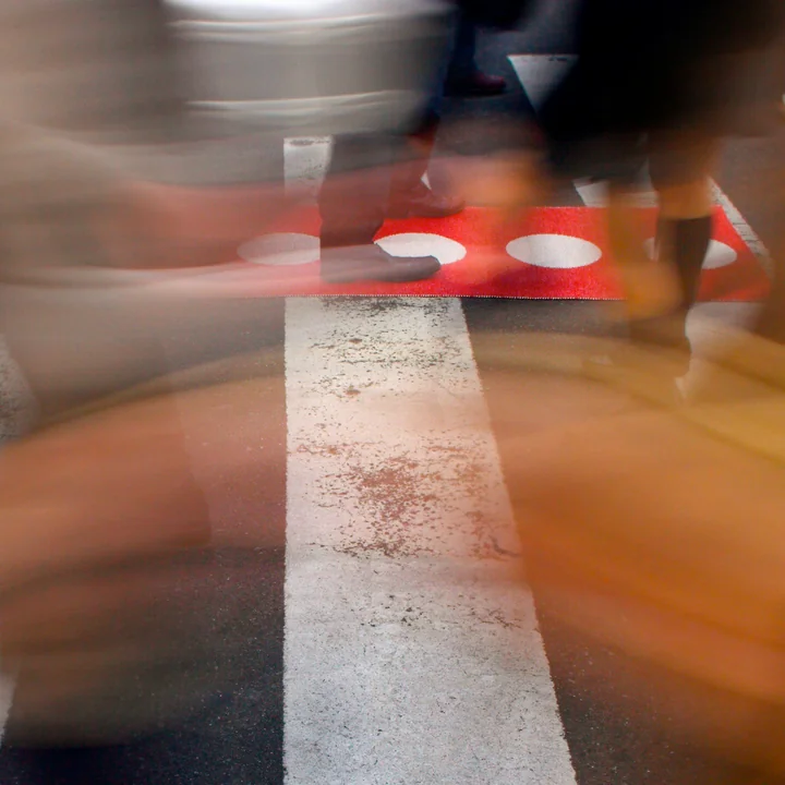 Vera Tapisserie de Pappelina