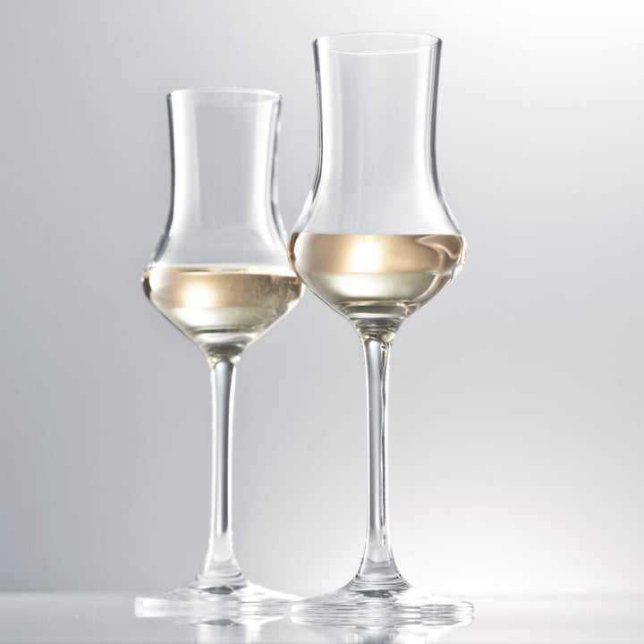 Verre à grappa Digestif de Schott Zwiesel