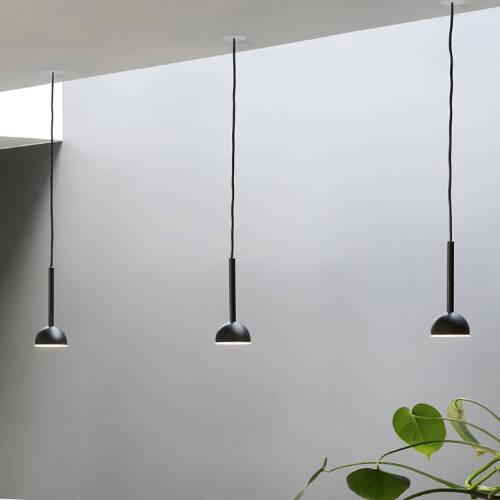 Blush Suspension à LED de Northern , Ø 9 x H 22 cm en noir suspendue en ligne