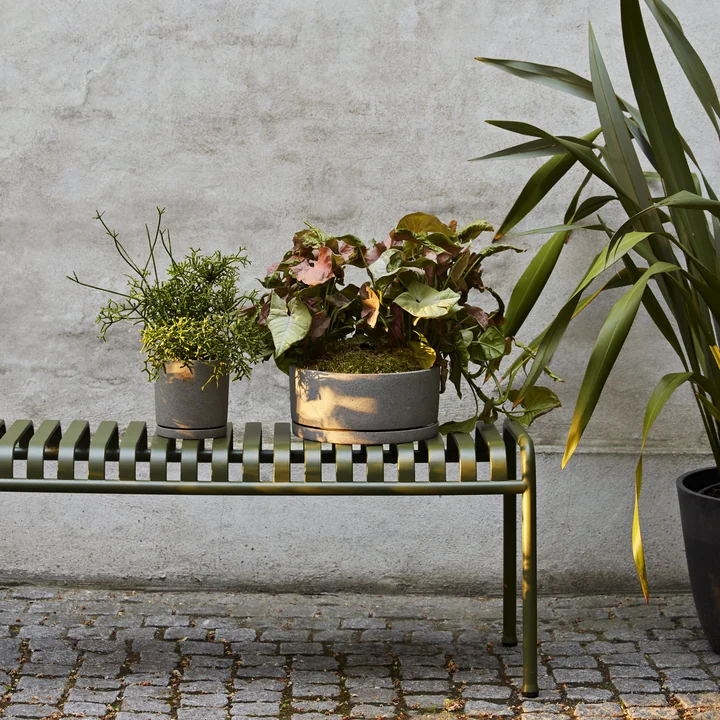 HAY - Palissade Banque