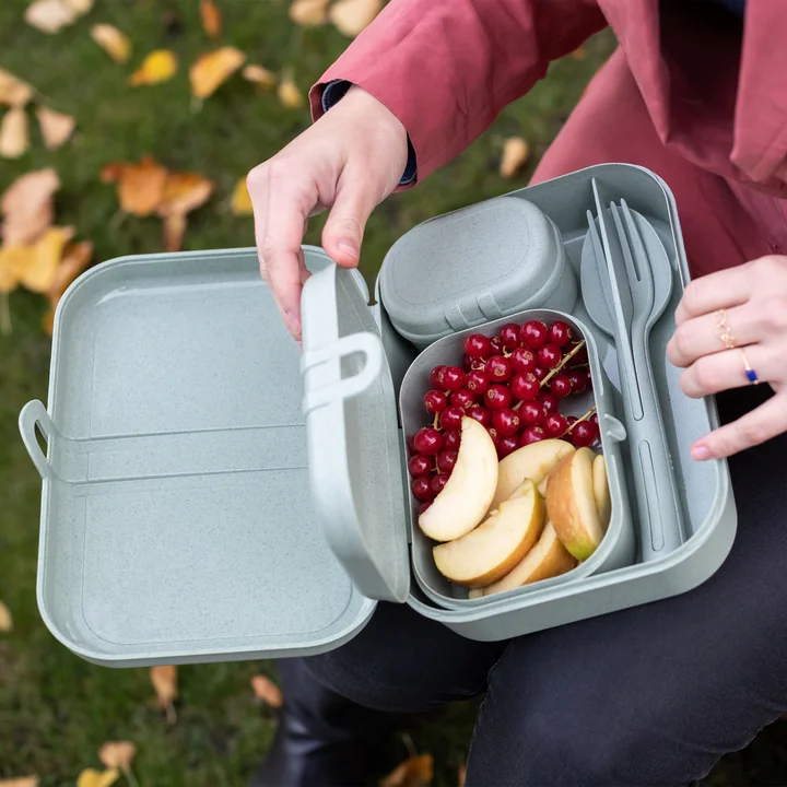Pascal Ready Set lunchbox avec Klikk couverts de Koziol in organic grey