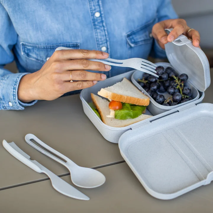 Pascal Ready Set lunchbox avec Klikk couverts de Koziol in organic grey