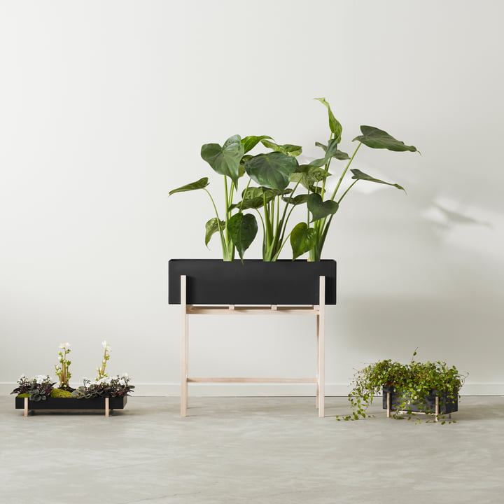 Botanic Box de Design House Stockholm