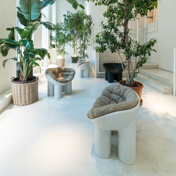 Le fauteuil Roly Poly de Driade dans une ambiance tropicale