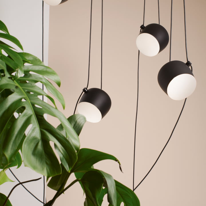 La lampe suspendue AIM LED de Flos à côté d'une plante d'intérieur