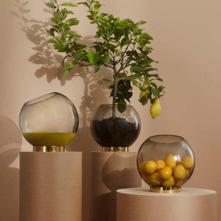 Le Globe vase de AYTM rempli d'un citronnier et de fruits