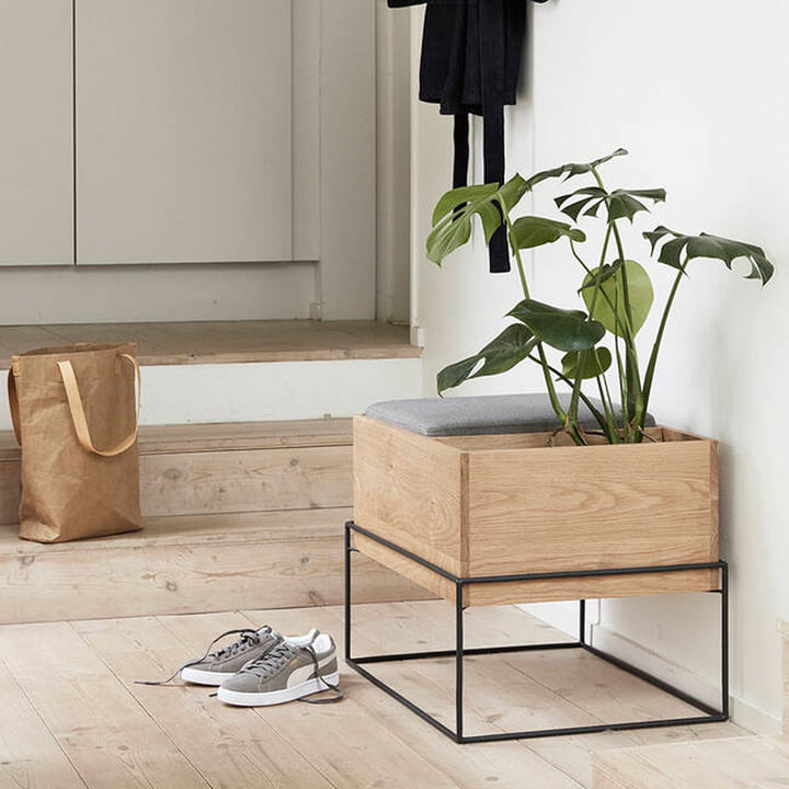 Assise, plantes, décoration : un design élégant dans le couloir