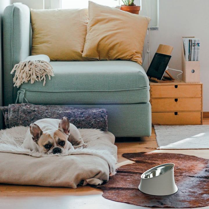 La gamelle du chien Wowl de Alessi dans le salon à côté du lit du chien