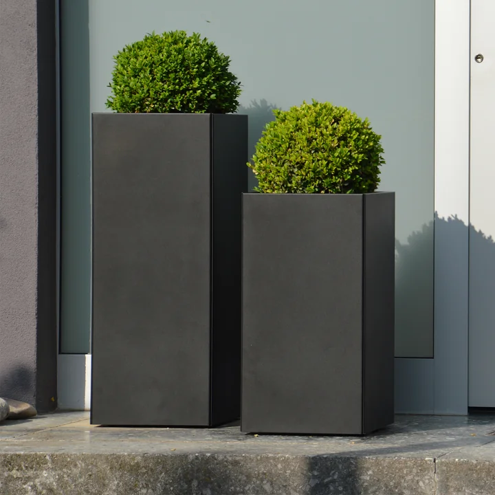 Les différentes jardinières de Planter de Jan Kurtz avec des buis