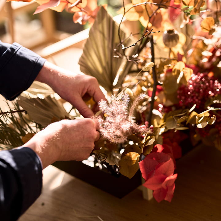 Le site Botanic Tray de Design House Stockholm pour les jardiniers amateurs : intérieur