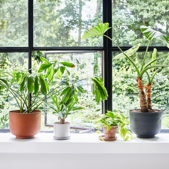 Pot à plantes en métal de HKliving