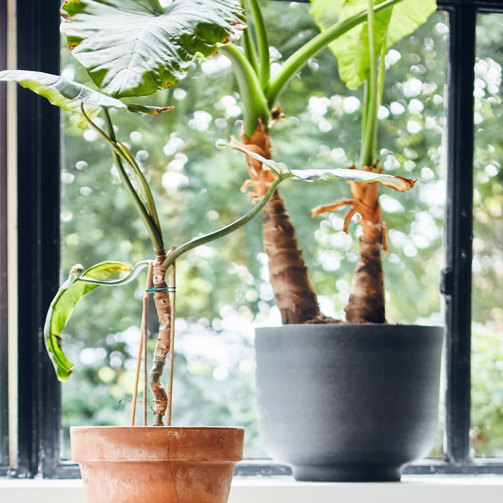 Pot à plantes en métal de HKliving