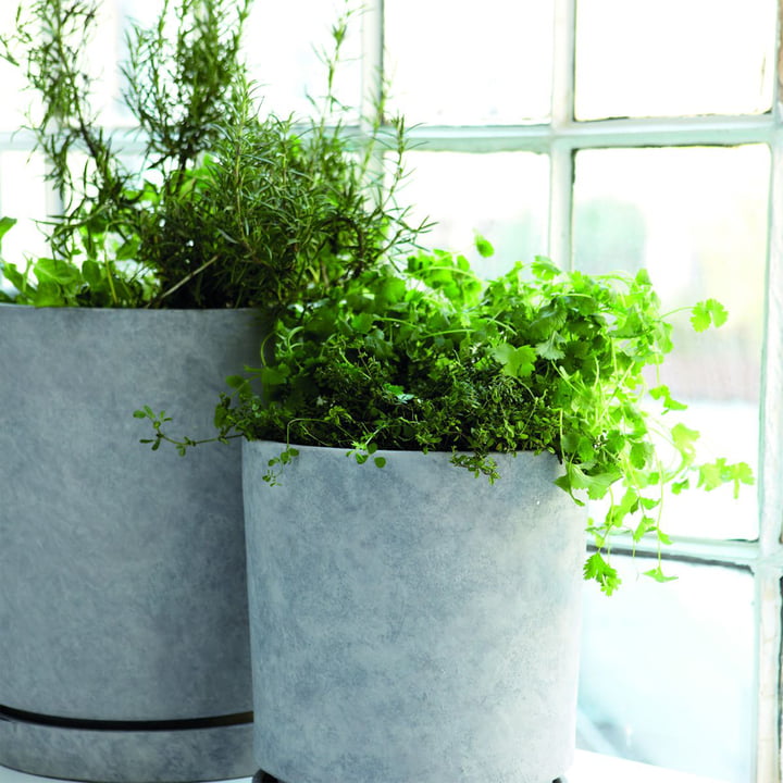 Hook Pot de plantes de House Doctor