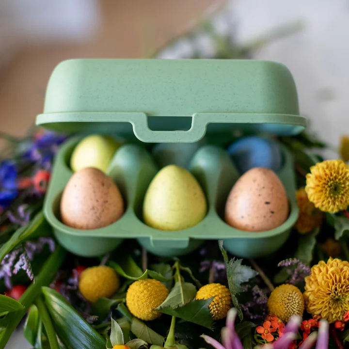 Eggs to go Bac à œufs réutilisable mini, nature leaf green de Koziol