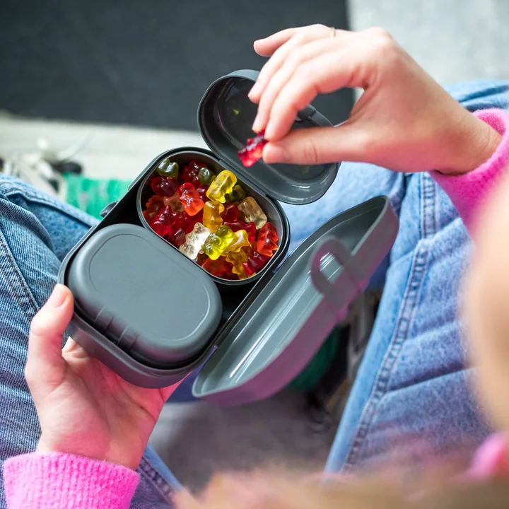 Pascal Ready Mini set de boîtes à lunch, nature ash grey de Koziol