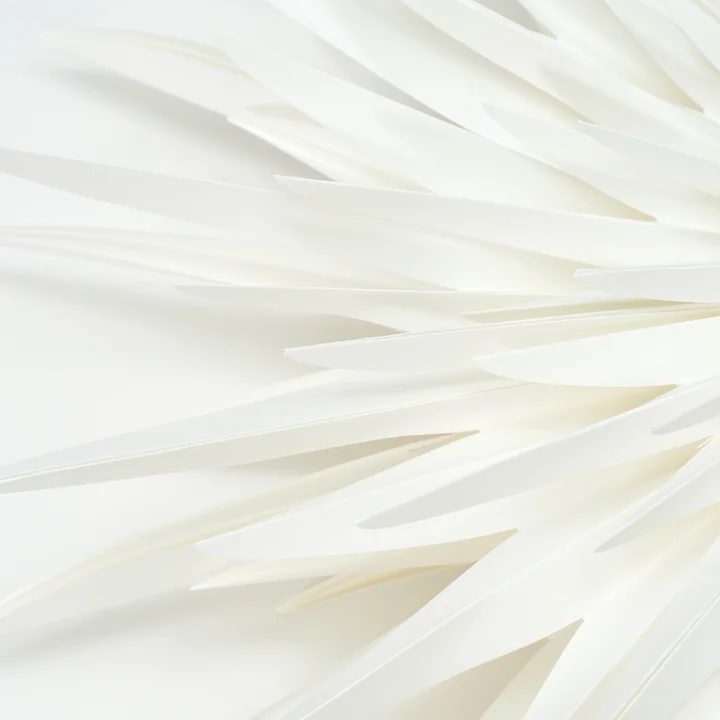 House Doctor - Dust Papier poinsettia