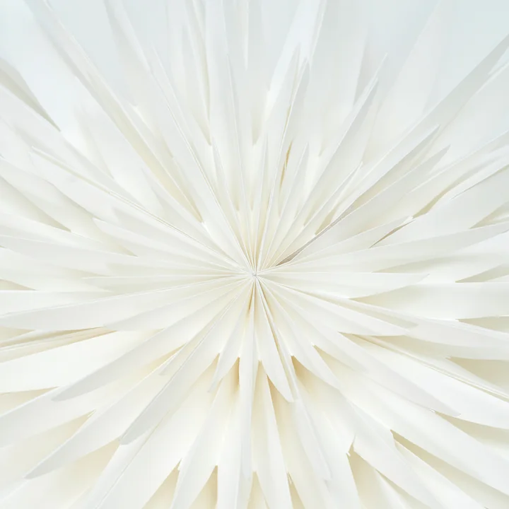 House Doctor - Dust Papier poinsettia