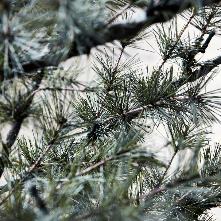 Pin Arbre de Noël de House Doctor