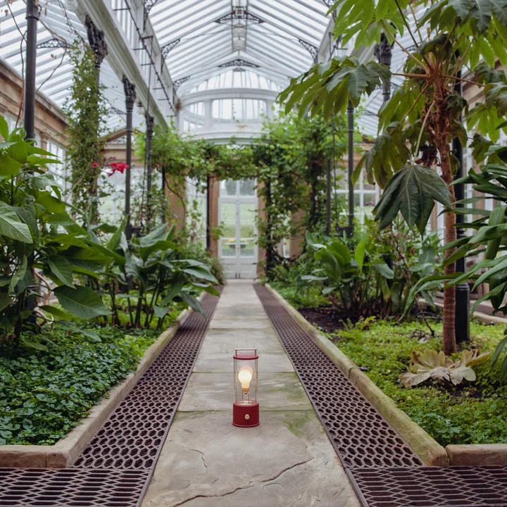 The Muse Lampe de bureau LED rechargeable, pomona red de Tala