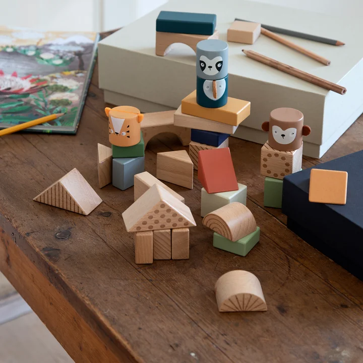 Briques de découverte de Sebra