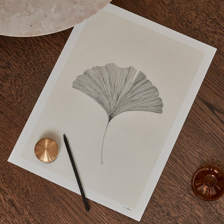 Ginkgo Leaf de Ana Frois de The Poster Club