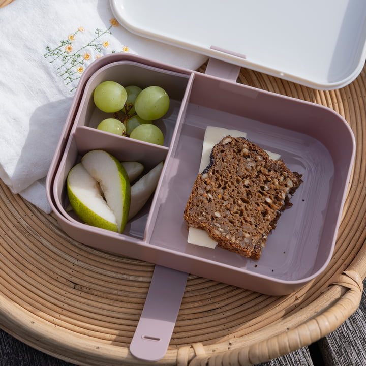 Boîte à lunch avec bande en silicone de Sebra