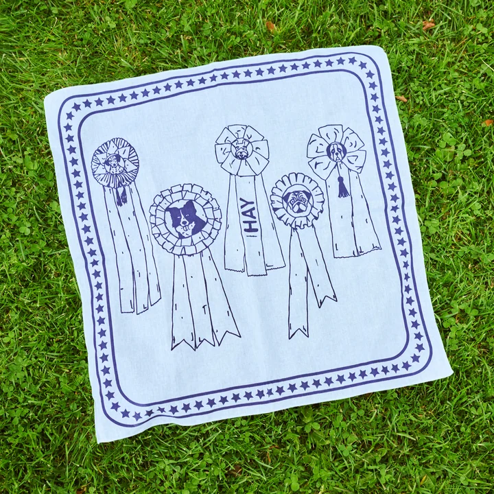 Dogs Serviette pour chien 55 x 55 cm, bleu clair de HAY