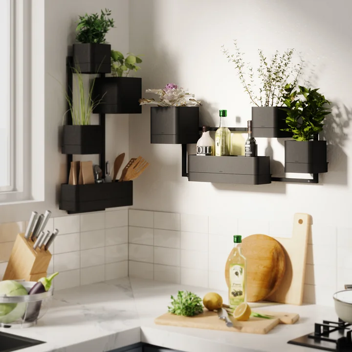 Cubiko Jardinière murale, noir de Umbra