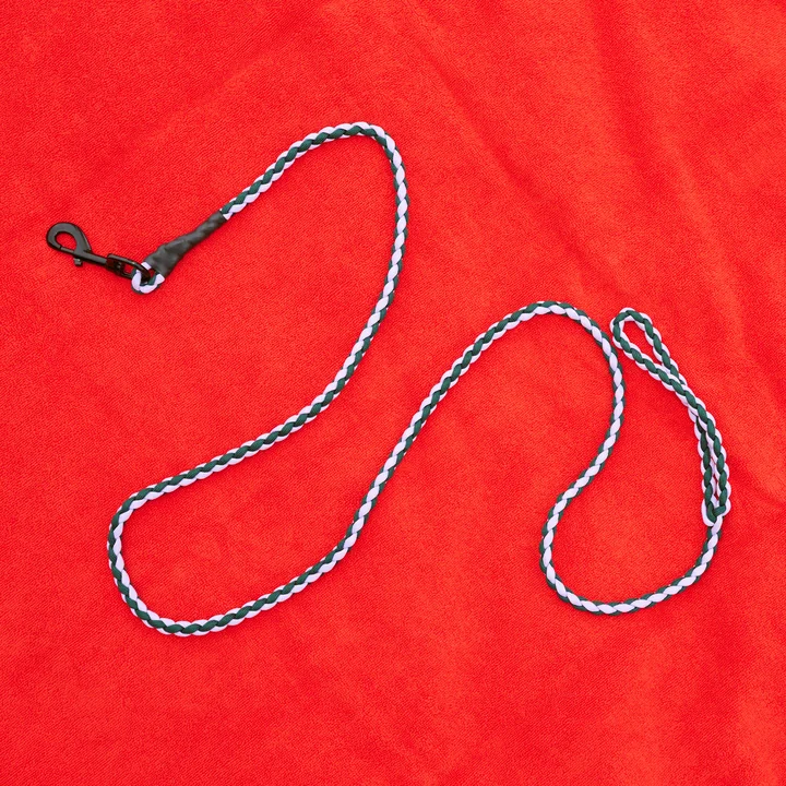 HAY - Dogs Laisse de chien, tressée, lavande / verte