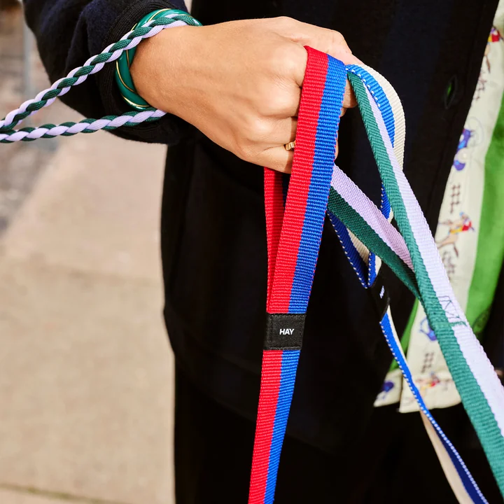 HAY - Dogs Laisses pour chiens