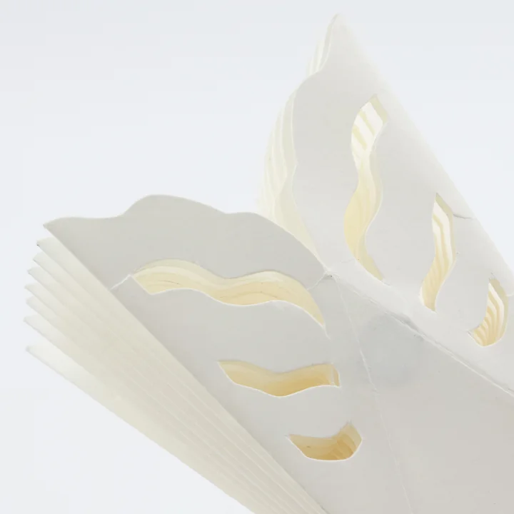 Flocon de neige de House Doctor