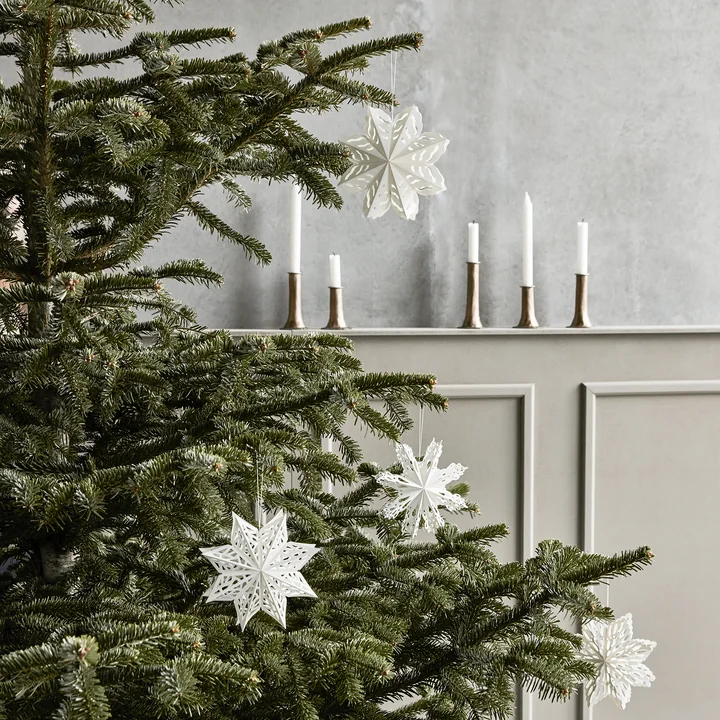 Flocon de neige de House Doctor