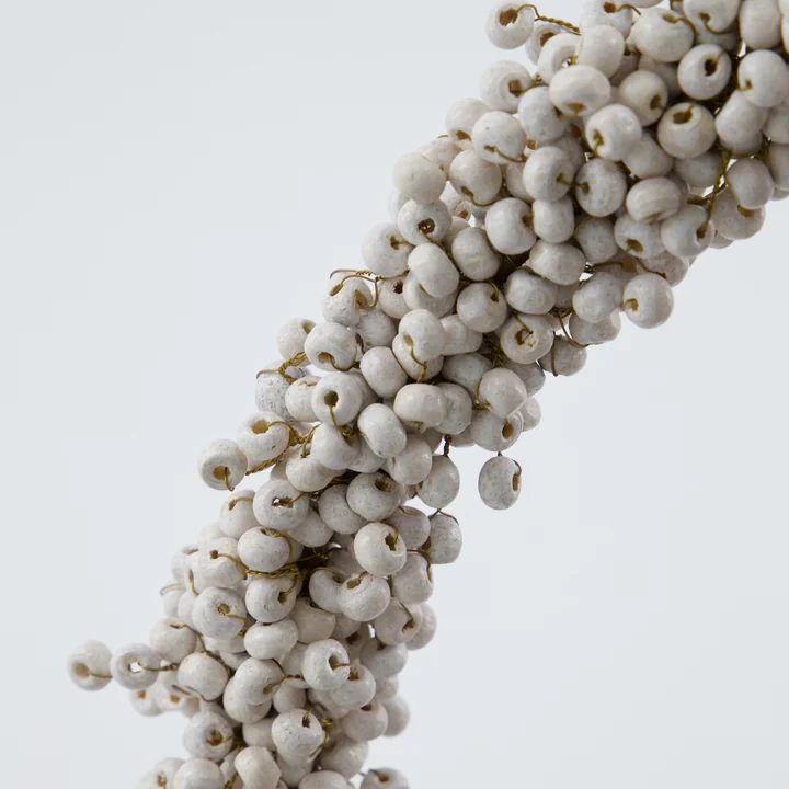 Couronne d'hiver de House Doctor