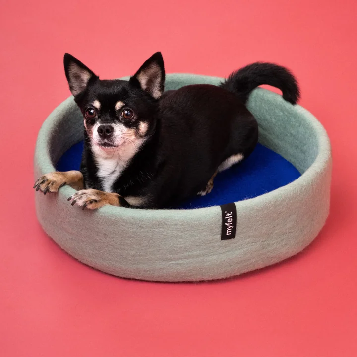 Fine Panier pour chien, incrustation bleu royal de myfelt