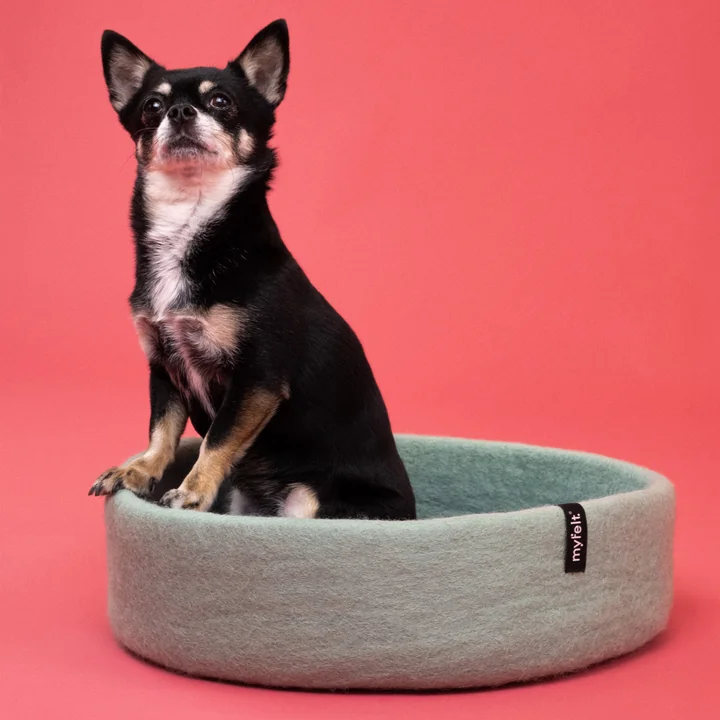 Fine Panier pour chien, incrustation bleu royal de myfelt