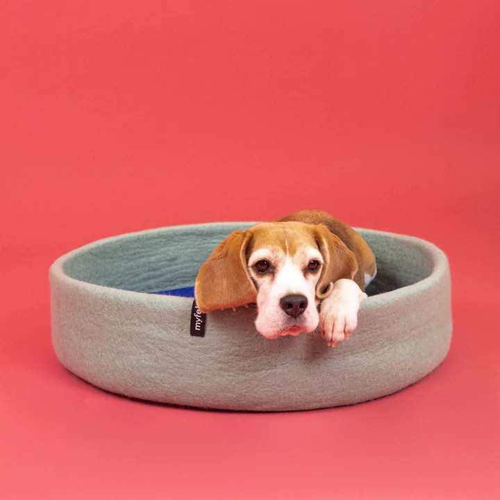 Fine Panier pour chien, incrustation bleu royal de myfelt