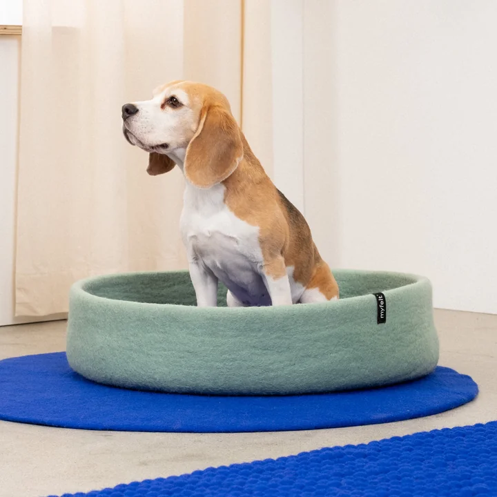 Fine Panier pour chien de myfelt