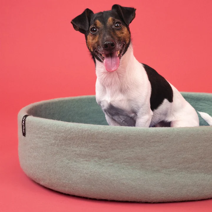 Fine Panier pour chien de myfelt