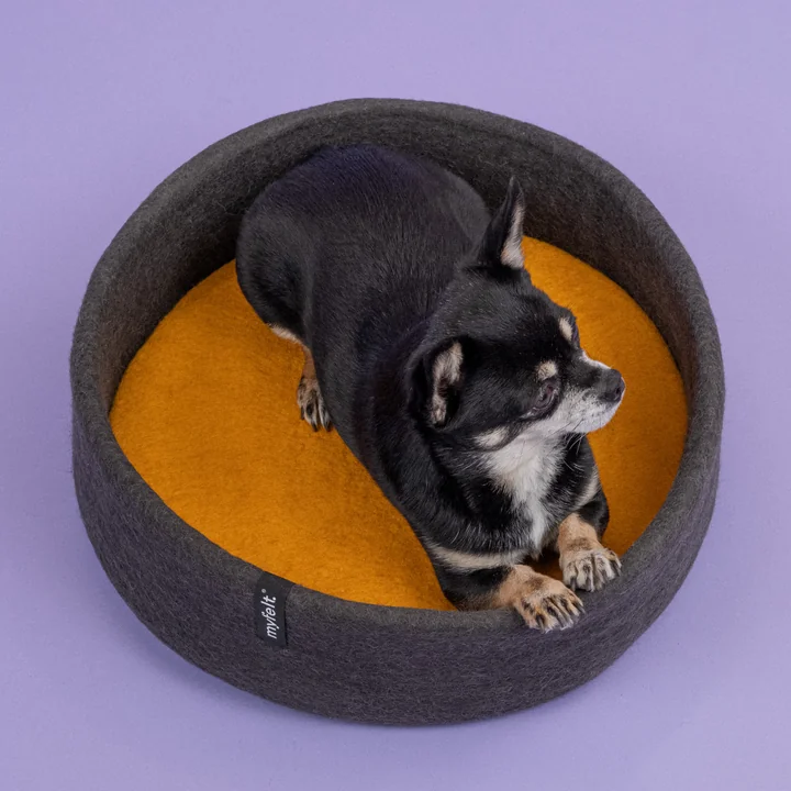 Kuno Panier pour chien, Ø 40 cm, incrustation jaune ocre de myfelt