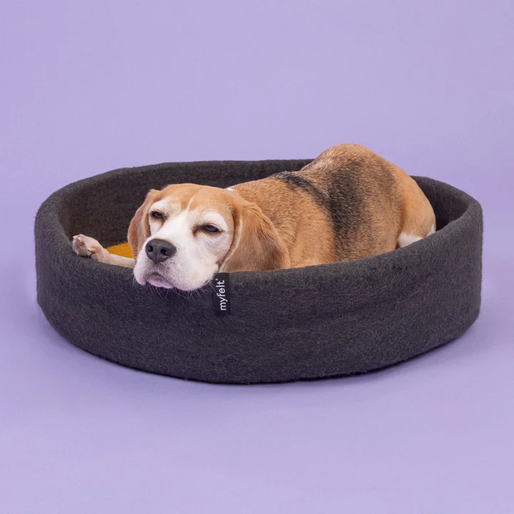 Kuno Panier pour chien, Ø 60 cm, incrustation jaune ocre de myfelt