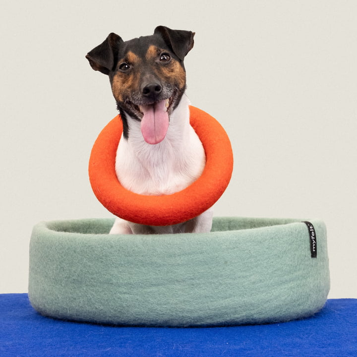 Mats Jouet pour chiens, anneau, orange rouge de myfelt