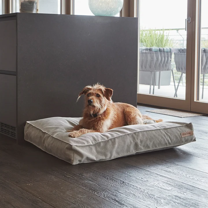 Cordo Coussin pour chien de MiaCara